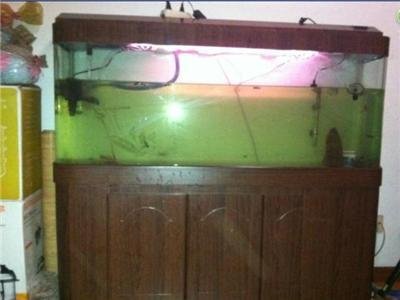 ��ƽ�~�װ��